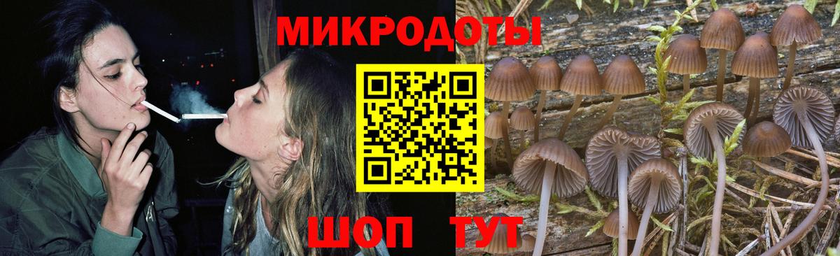 Галлюциногенные грибы GOLDEN TEACHER Якутск